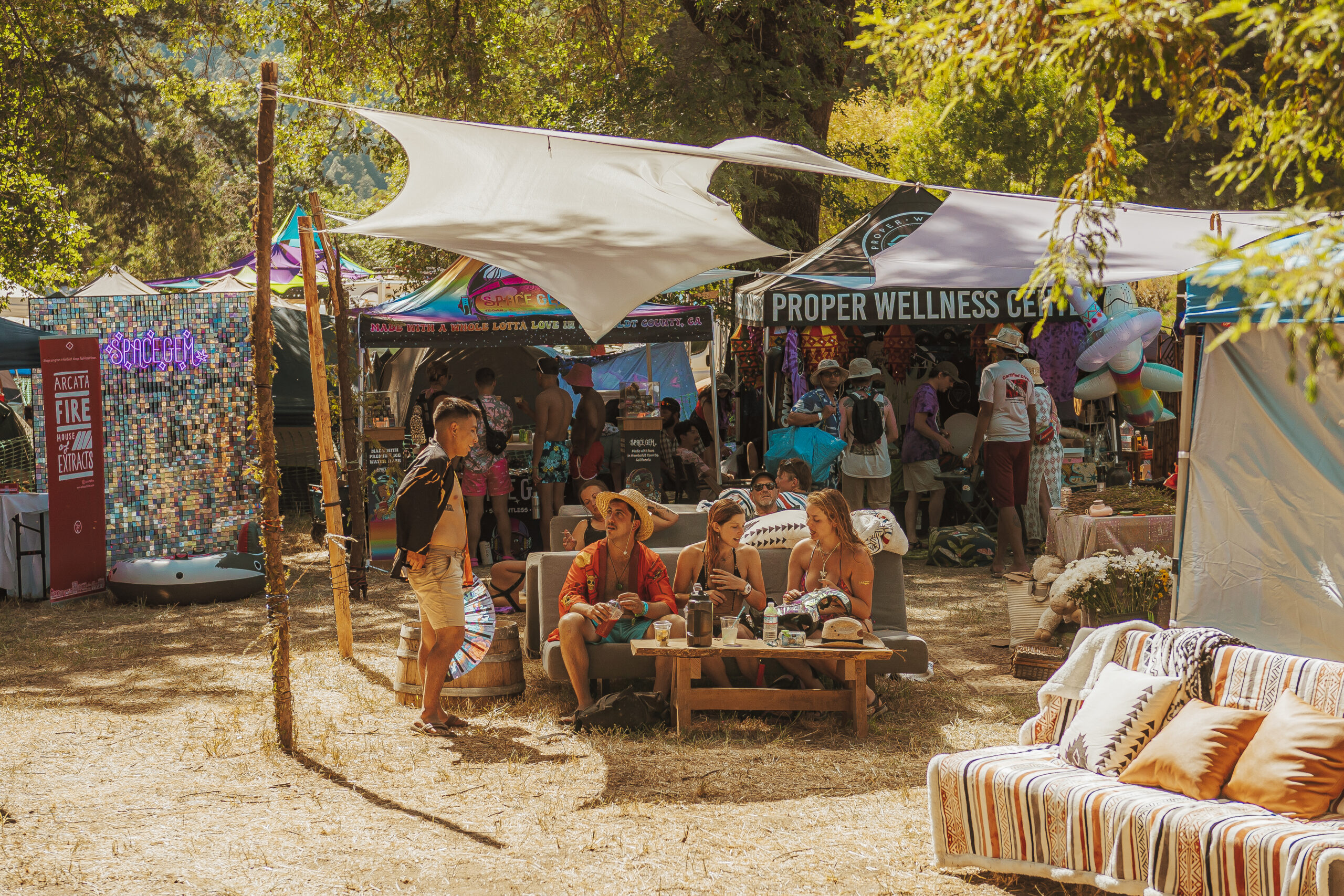 Cannabis Area called The Tree Lounge at Northern Nights Music Festival 2023